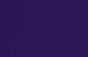 3903-purple-zoom-big