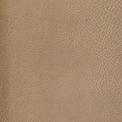 Parchment
