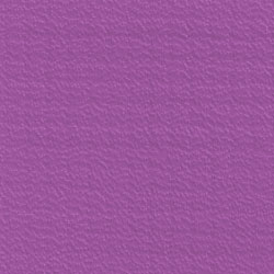 we-panama-purple