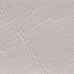 Seashell Yachtsman Marine Vinyl | All Vinyl Fabrics